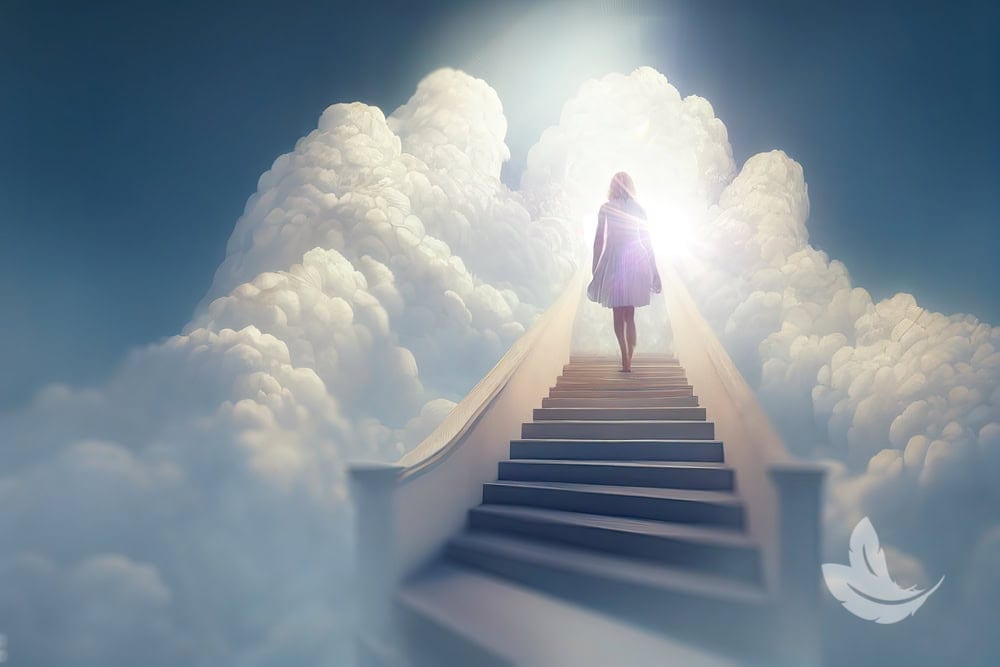 Matt Fraser, wearing a dress, ascends a staircase leading into bright, dense clouds with sunlight breaking through, creating a dreamlike atmosphere. A white dove symbol is positioned in the lower right corner.