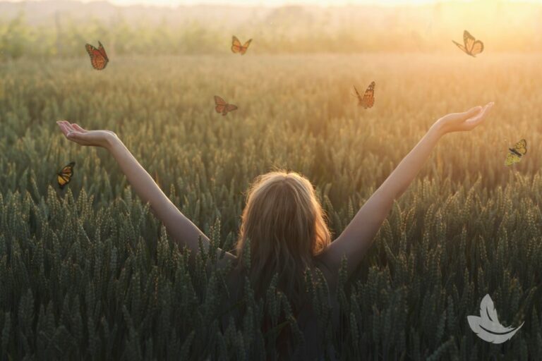 A man named Matt Fraser standing in a field of tall wheat raises his arms, surrounded by flying butterflies at sunset.