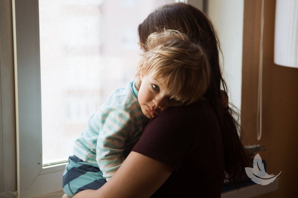 Matt Fraser holds a young child looking at the camera, standing by a window with daylight streaming in. The child is resting their head on Matt Fraser’s shoulder. The logo of a bird is visible in the corner.